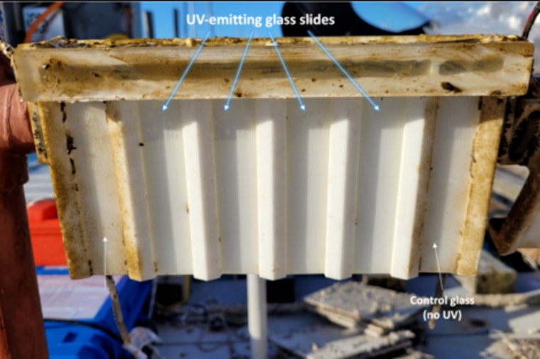 UMass Amherst Researchers Innovate Biofilm-Resistant Glass to Transform Marine Maintenance