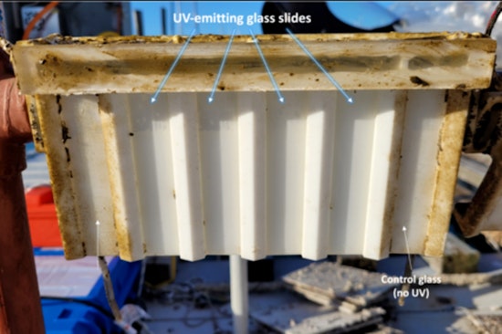 UMass Amherst Researchers Innovate Biofilm-Resistant Glass to Transform Marine Maintenance