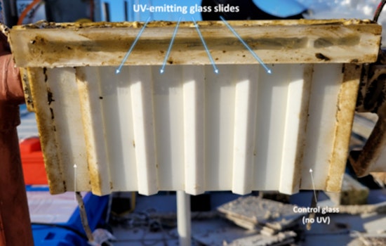 UMass Amherst Researchers Innovate Biofilm-Resistant Glass to Transform Marine Maintenance