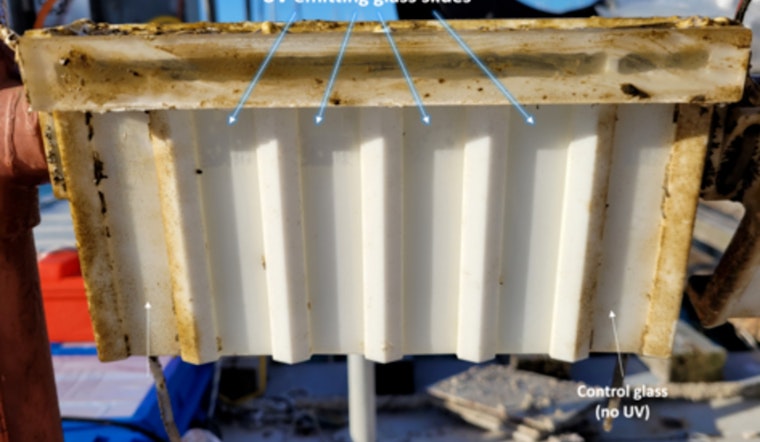 UMass Amherst Researchers Innovate Biofilm-Resistant Glass to Transform Marine Maintenance