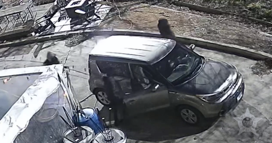 VIDEO: Chicago Police Issue Alert as String of Overnight Burglaries Hit Local Businesses