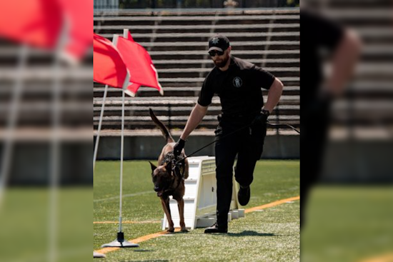 Washington County K9 Trials Set to Showcase Canine Valor at Hillsboro Stadium in May