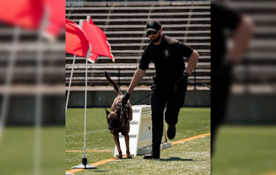 Washington County K9 Trials Set to Showcase Canine Valor at Hillsboro Stadium in May