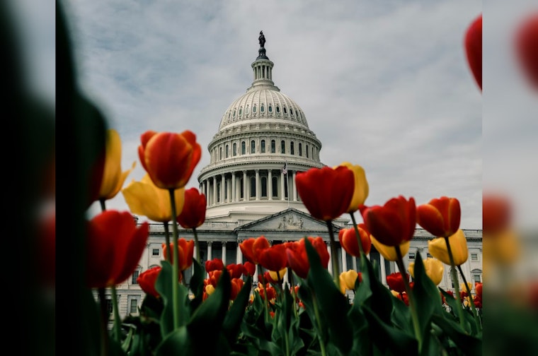Washington D.C. Braces for Swing in Weather With Warm Days and Spring Showers on the Horizon