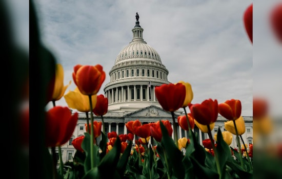 Washington D.C. Braces for Swing in Weather With Warm Days and Spring Showers on the Horizon