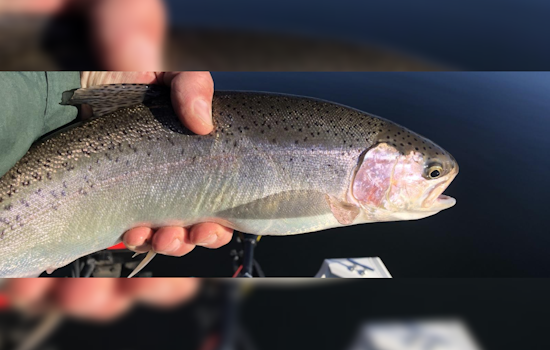 Washington's Snake River Set for Selective Spring Chinook Fishing Season Starting May 7