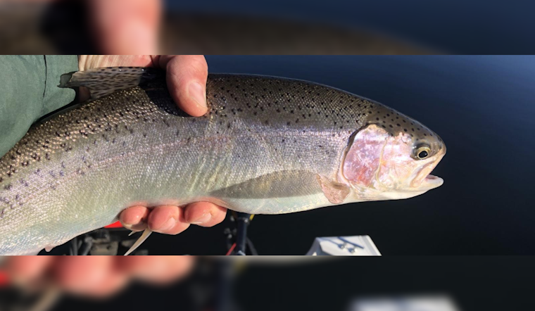 Washington's Snake River Set for Selective Spring Chinook Fishing Season Starting May 7