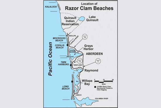 WDFW Announces Upcoming Razor Clam Digs on Washington Coast