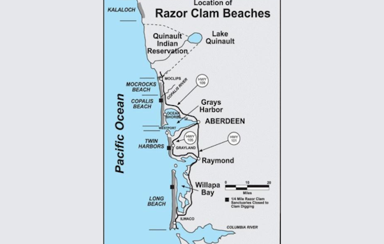 WDFW Announces Upcoming Razor Clam Digs on Washington Coast