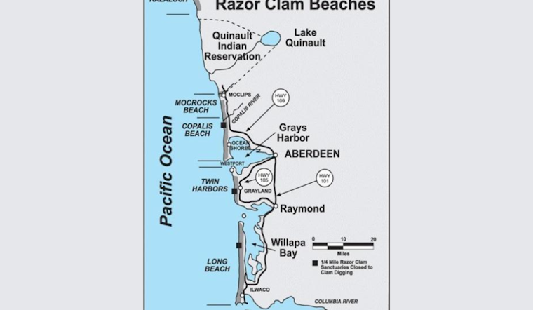 WDFW Announces Upcoming Razor Clam Digs on Washington Coast
