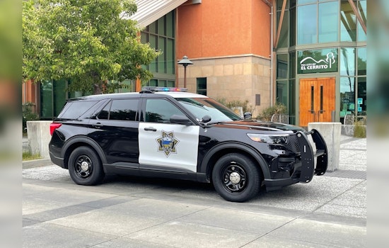 Week of Fights, Thefts, and DUIs Reflected in Police Blotter at El Cerrito