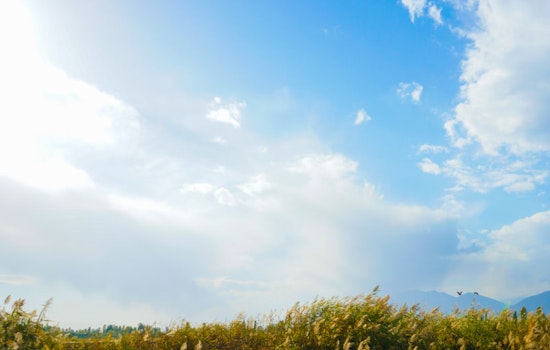Whimsical Spring Forecast in Philadelphia with Thunderstorms, Sun, and Showers Looming