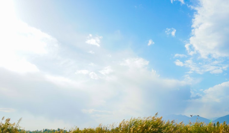 Whimsical Spring Forecast in Philadelphia with Thunderstorms, Sun, and Showers Looming