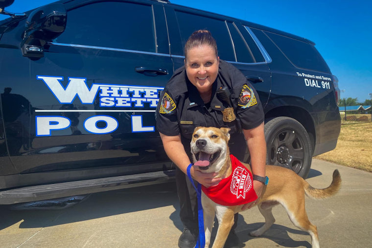 White Settlement Police Department Enlists Canine Companions for Dog Walker Watch