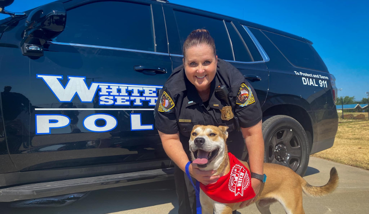 White Settlement Police Department Enlists Canine Companions for Dog Walker Watch