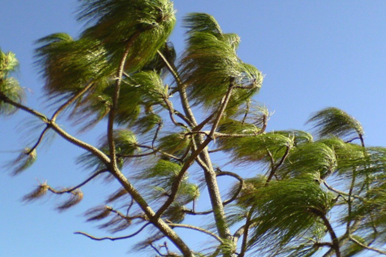 Wind Advisory in Effect Across Southern California with Gusts Reaching 50mph