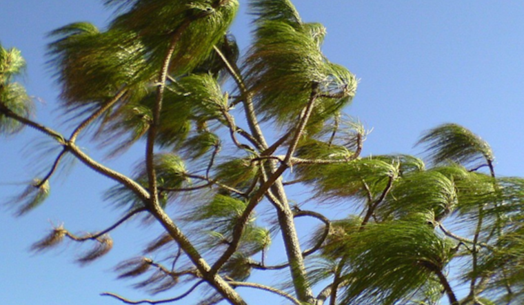 Wind Advisory in Effect Across Southern California with Gusts Reaching 50mph