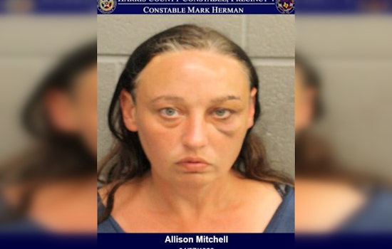 Woman Charged with Burglary after Allegedly Rampaging Through Home with Baseball Bat in Harris County