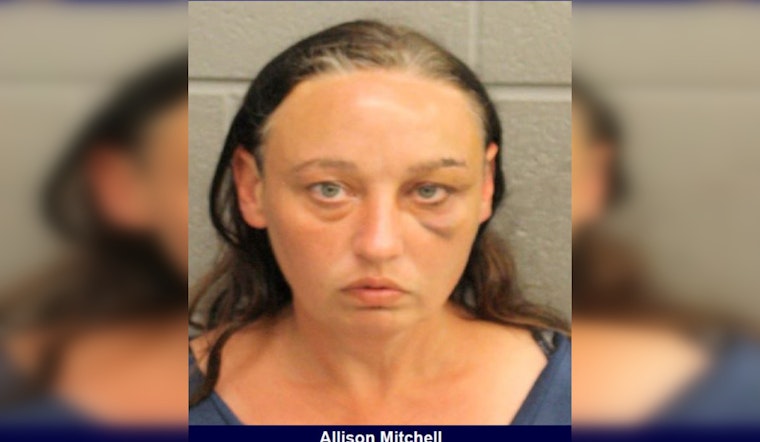 Woman Charged with Burglary after Allegedly Rampaging Through Home with Baseball Bat in Harris County