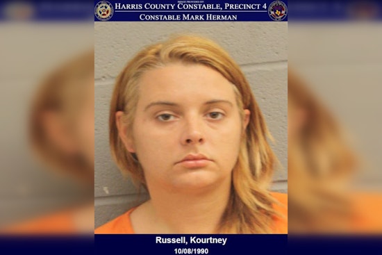 Woman Charged with Theft and Assaulting Police Canine After Incident in North Harris County