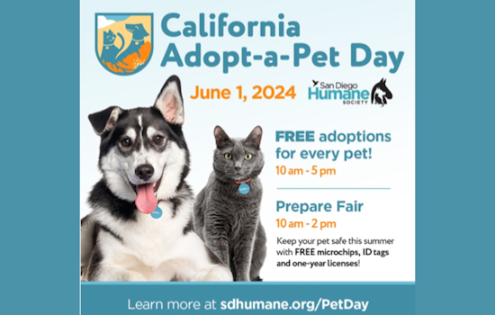 San Diego Humane Society Hosts Free Adoption Fair and 'Prepare Fair' to Protect Pets This Summer