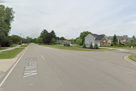 1-Year-Old and Grandmother in Oakland County Hospitalized After Family Dogs Attack