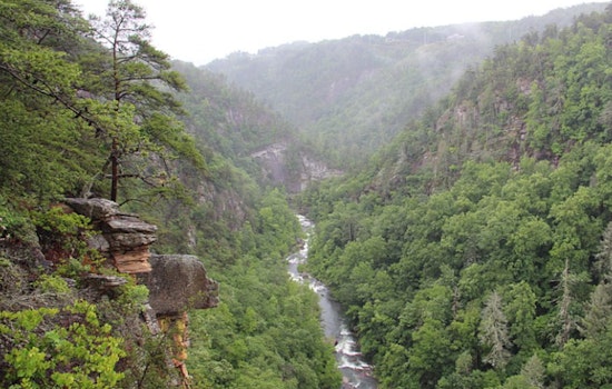 19-Year-Old Gainesville Hiker Dies After Fall into Tallulah River at Georgia State Park