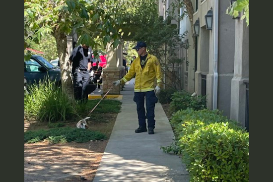 50 Seniors and Pets Evacuated from Oakley Care Facility After Sewage Leak Causes Power Shutdown