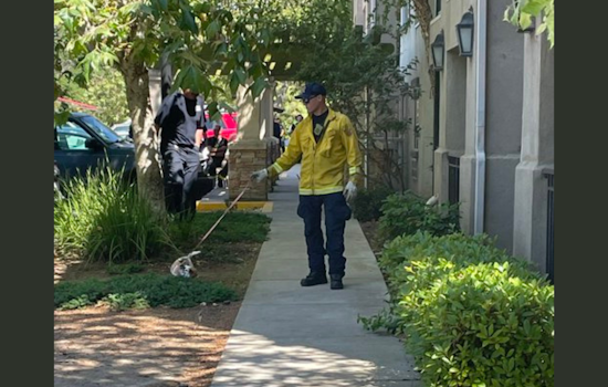 50 Seniors and Pets Evacuated from Oakley Care Facility After Sewage Leak Causes Power Shutdown
