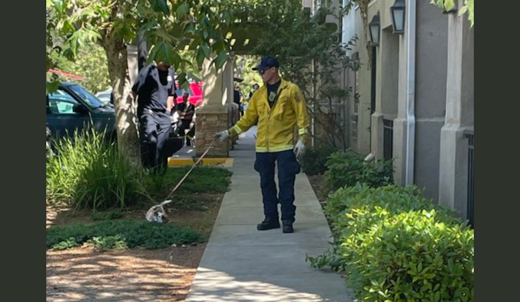 50 Seniors and Pets Evacuated from Oakley Care Facility After Sewage Leak Causes Power Shutdown