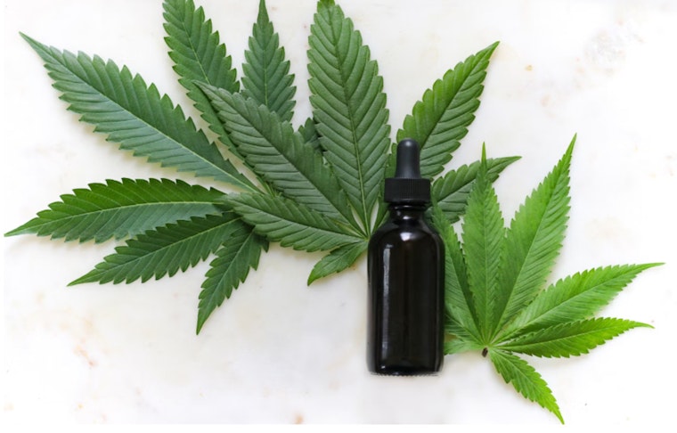 Illinois Hemp Entrepreneurs Rally for Regulation and Taxation Over Outright Ban, Eyeing Economic Growth