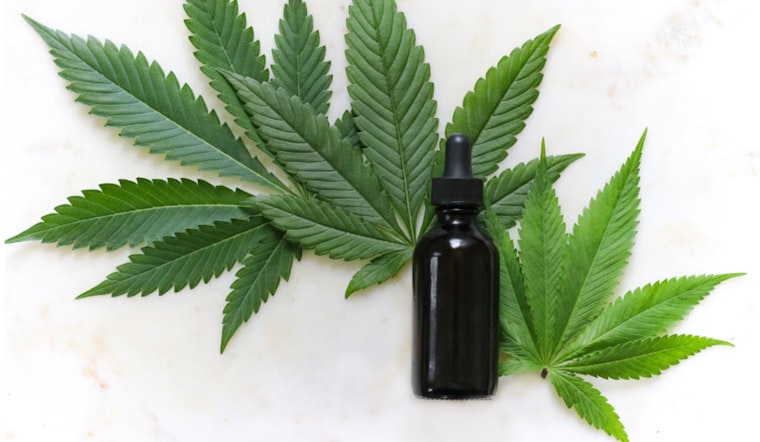 Illinois Hemp Entrepreneurs Rally for Regulation and Taxation Over Outright Ban, Eyeing Economic Growth