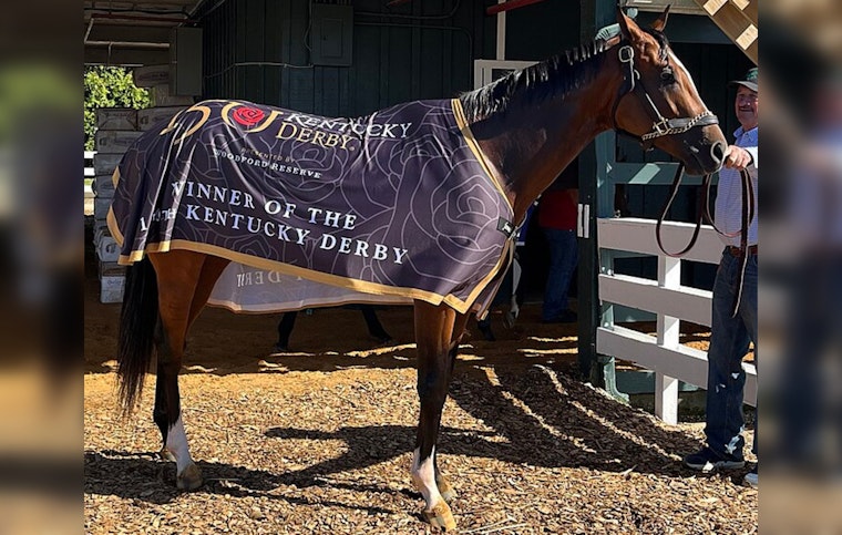 Triple Crown Hopeful Mystik Dan Set to Race in Wet Conditions at the 149th Preakness Stakes in Baltimore