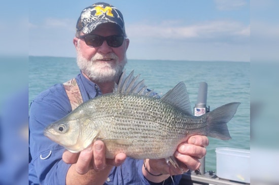 Adrian Angler Hooks Michigan State-Record White Perch in Lake St. Clair