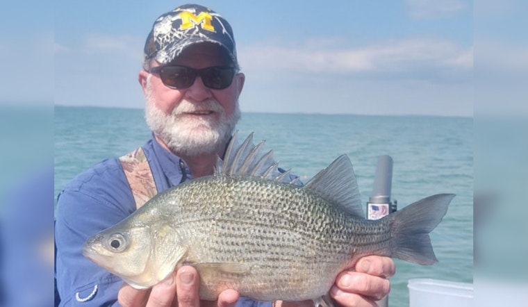 Adrian Angler Hooks Michigan State-Record White Perch in Lake St. Clair