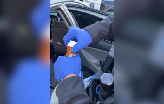Alameda Police Nab Suspects for Vehicle Theft and Felony Warrants Near South Shore Center
