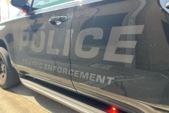 Alert Security Officer Spurs Arrest of Teens with Ammunition, Guns near Deerbrook Mall