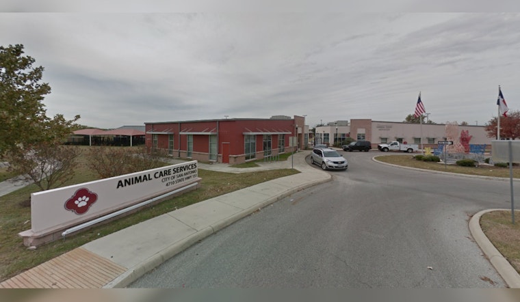 Animal Advocacy Group Challenges San Antonio's Animal Welfare Efforts with New Billboard Campaign