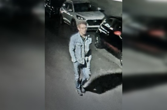 Ann Arbor Police Hunt for Suspect in Random Metal Pipe Attack at Local Bar