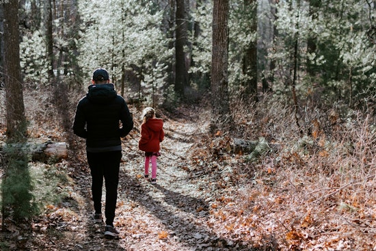 Anoka County Parks and Wargo Nature Center Offer Free Guided Nature Walks This Summer