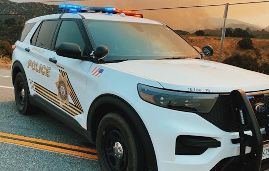 Apple Valley Neighbors and Deputies Collaborate to Nab Two Suspected Burglars After Chase