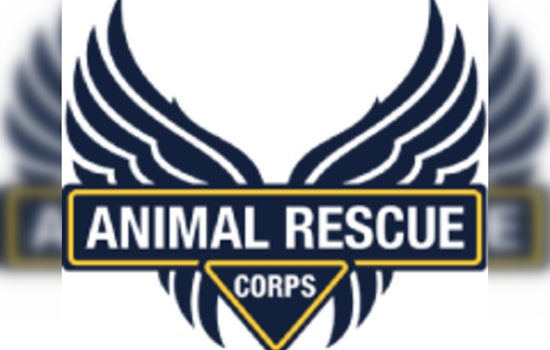 ARC Saves Over 50 Animals from Neglect in West Tennessee, Urgent Care Required