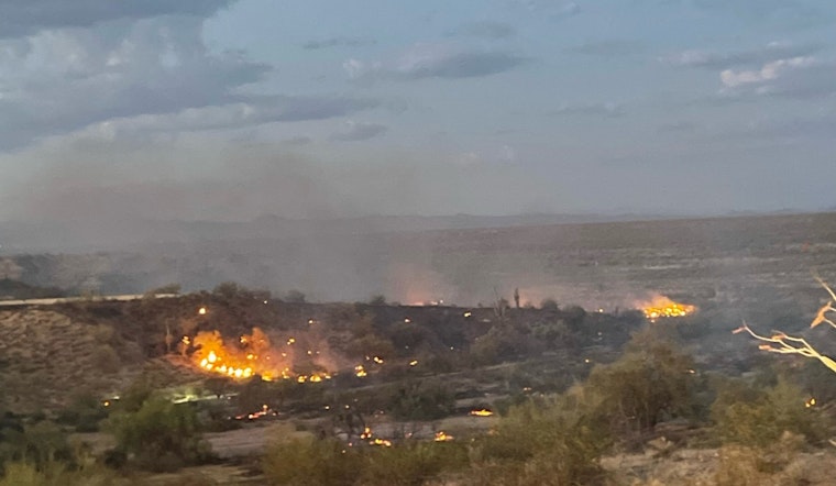 Arizona Bolsters Wildfire Resilience with $7M Federal Grant: Pine Lake Spearheads Fuel Reduction Efforts