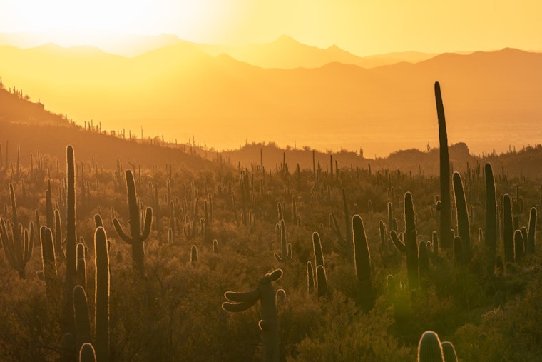 Arizona Heat Officer Leads Charge to Combat Extreme Heat and Lower Mortality After Deadly Summer