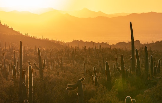 Arizona Heat Officer Leads Charge to Combat Extreme Heat and Lower Mortality After Deadly Summer
