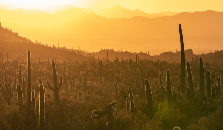 Arizona Heat Officer Leads Charge to Combat Extreme Heat and Lower Mortality After Deadly Summer