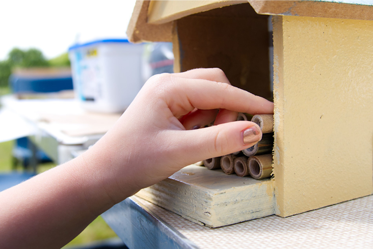 Arlington Encourages Water Conservation with Free Summer Programs and Activities