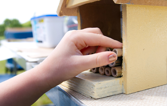 Arlington Encourages Water Conservation with Free Summer Programs and Activities