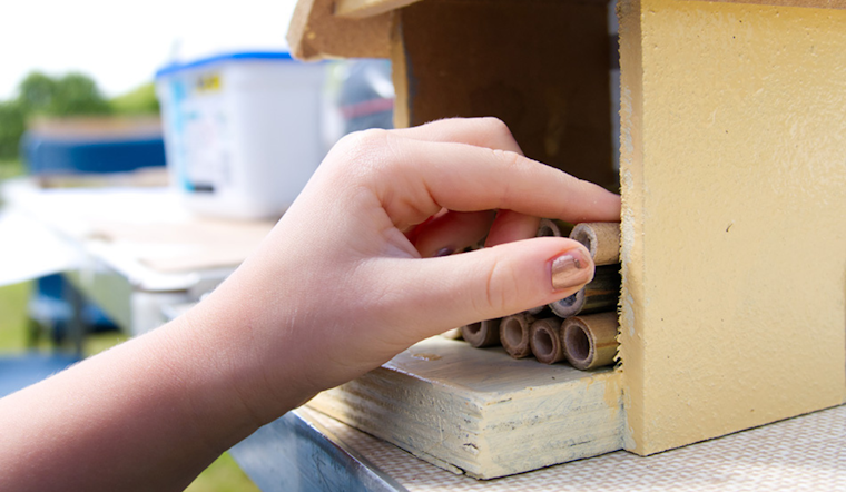 Arlington Encourages Water Conservation with Free Summer Programs and Activities