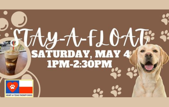 Arlington Locals Savor Sweet Relief with Therapy Dogs and $1 Root Beer Floats Event